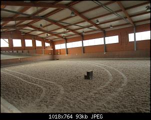 Pferde und Reiter-Thread-img_0398.jpg