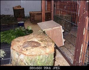 verliebt in deutsche Riesen-sdc13093-medium-.jpg