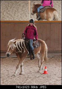 Pferde und Reiter-Thread-img_1550.jpg
