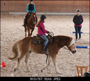 Pferde und Reiter-Thread-img_1562.jpg
