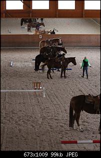 Pferde und Reiter-Thread-img_1461.jpg