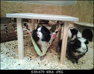 Quasselthread-20150111_140409.jpg