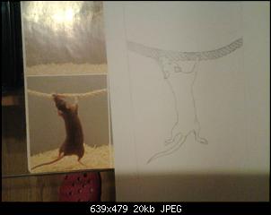 Hobby Malen Zeichnen,wer macht das hier noch?-20150114_181900.jpg