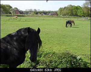 Quasselthread-05.05.2010-022-small-.jpg