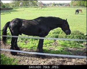 Quasselthread-05.05.2010-021-small-.jpg