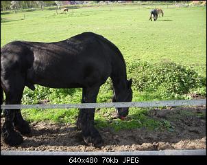 Quasselthread-05.05.2010-020-small-.jpg