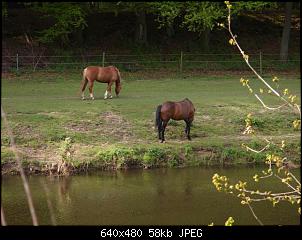 Quasselthread-05.05.2010-016-small-.jpg