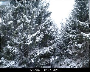 Quasselthread-20141226_082049.jpg