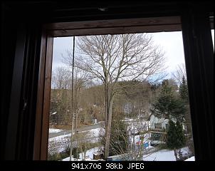 Der Garten- und Anbauthread-baum3.jpg