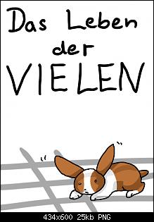 Comics, Kaninchen & jede Menge Spa�-daslebendervielencover.jpg