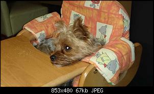 Quasselthread-k640_dsc_1089.jpg