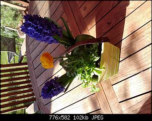 Quasselthread-img_20150308_111317.jpg