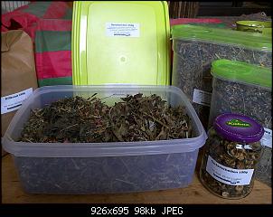 Quasselthread-win_20150320_164013.jpg