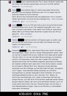 Aufreger des Tages!-mediamarktkaninchenrennen02.jpg