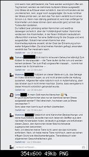Aufreger des Tages!-mediamarktkaninchenrennen03.jpg