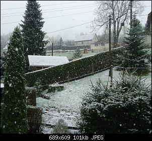 Der Garten- und Anbauthread-28april2015.jpg