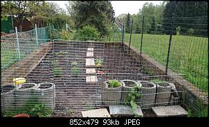 Der Garten- und Anbauthread-2015050216501900.jpg