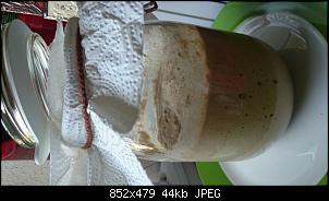 Quasselthread-sauerteig.jpg
