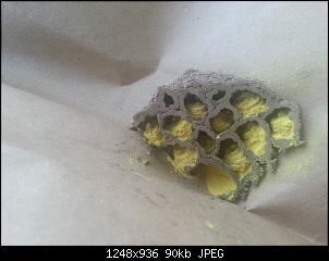 Quasselthread-20150524_184605.jpg