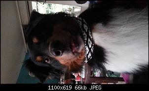 Der Handarbeits-Thread - Alles schick mit Nadel und Strick!-img-20150530-wa0005.jpg