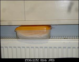 Quasselthread-p1200257.jpg