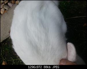Quasselthread-20150624_181522.jpg