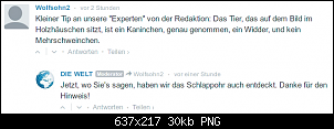 Quasselthread-kommentar_zum_langohrmehrschweinchen.png