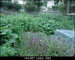 Der Garten- und Anbauthread-haugarte1.jpg