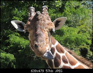 Quasselthread-dscn7191.jpg
