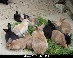 Der Zoobilderthread!-zoo-024-small-.jpg