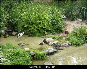 Der Zoobilderthread!-zoo-016-small-.jpg