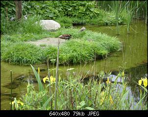 Der Zoobilderthread!-zoo-019-small-.jpg