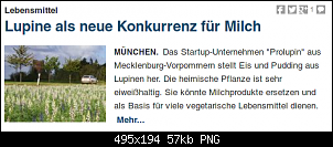 Quasselthread-lupine_in_der_mz.png