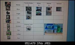Quasselthread-2015073008503300.jpg