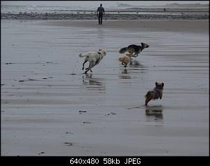 Quasselthread-dsc01501.jpg