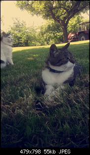 Der Katzen Thread-snapchat-7216860838544271187.jpg