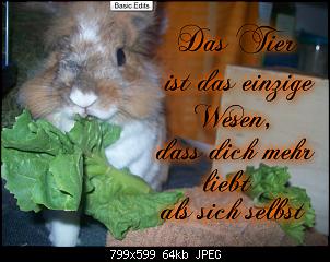 Quasselthread-kurtisignatur.jpg