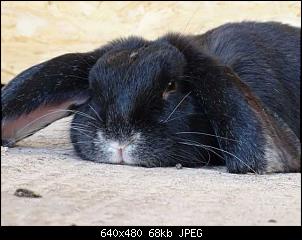 Quasselthread-k640_dsc01957.jpg