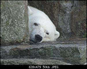 Der Zoobilderthread!-dsc02442.jpg