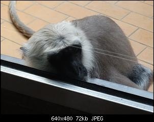 Der Zoobilderthread!-dsc02765.jpg