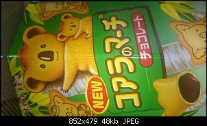 Quasselthread-koala-schoko.jpg
