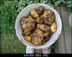 Der Garten- und Anbauthread-kart1.jpg