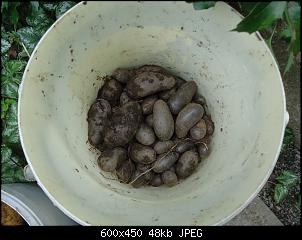 Der Garten- und Anbauthread-kart2.jpg
