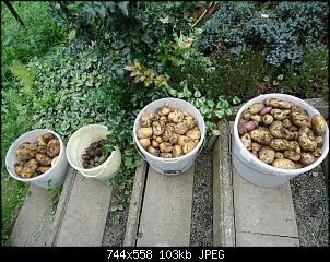 Der Garten- und Anbauthread-kart5.jpg