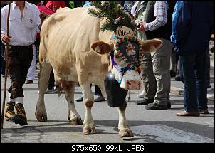 Quasselthread-img_1984.jpg