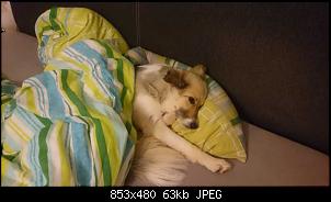 Quasselthread-k640_dsc_2441.jpg