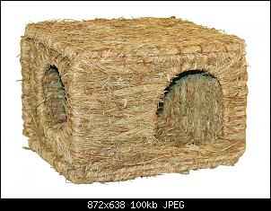 Quasselthread-71stc1sbxrl._sl1000_.jpg