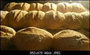 Quasselthread-br%F6tchen.jpg