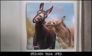 Quasselthread-eselkalender.jpg