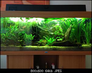 Fisch - Geblubber-019.jpg